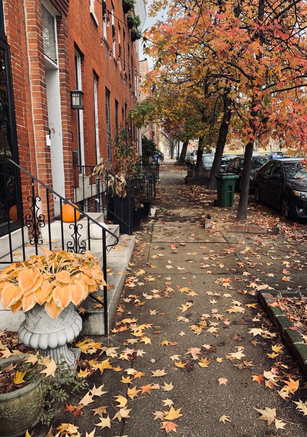 Brick rowhouses on a residential street